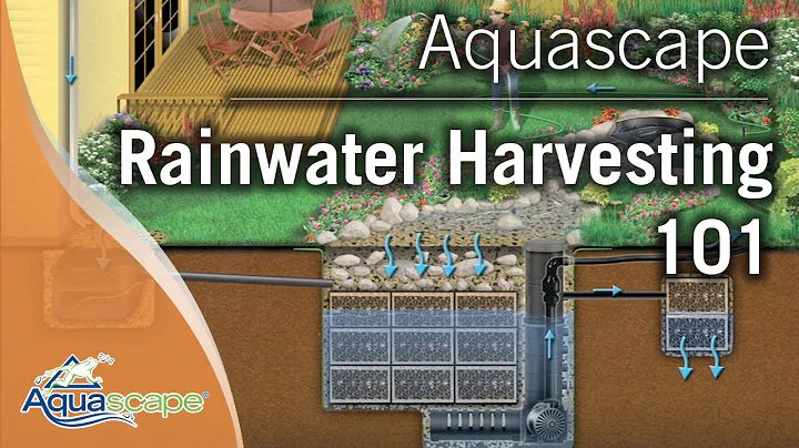 Aquascape's Rainwater Harvesting 101