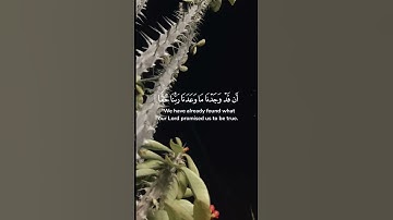 وَنَادَىٰ أَصْحَابُ الْجَنَّةِ🤍آيات عطرة من سورة الأعراف بصوت القارىء الشيخ ياسر الدوسري🌷 #قرآن
