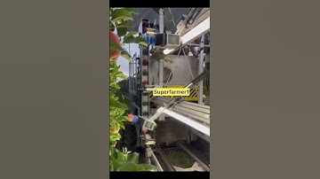 Robotic Apple harvester #shorts