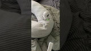 Luvion Baby Monitor Failing Feb 28 Video 1