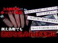 【2ch怖話】友人が作った“偽コトリバコ”がガチでアウトなヤツだった【偽コトリバコ】