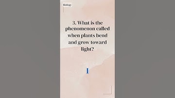 1-Min Science Brainstorm: 5 Questions - 1-Minute Science Quiz (58)