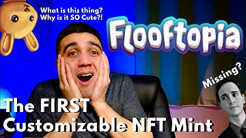 Did You Say Flooftopia? | CNFT Review