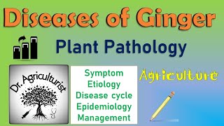 L 15 | Diseases of Ginger | Soft rot | Pythium  Management | BSc Agriculture Exam | IGKV | CET, ICAR screenshot 5