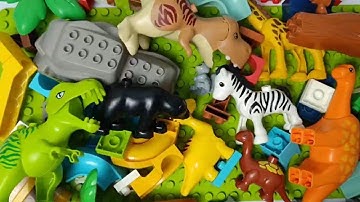 Satisfying Building Blocks Marble Run ASMR #226 dinosaurs and wilds animals course Live 8