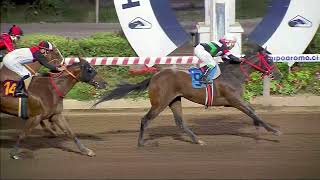 Vidéo de la course PMU PRIX NECESARIO