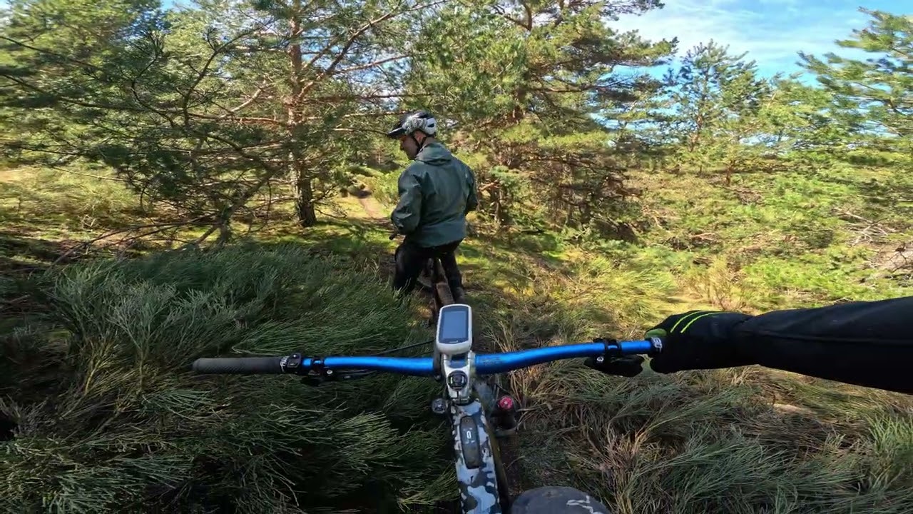 Cicely. Abantos mtb.