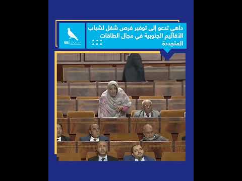 داهي تدعو إلى توفير فرص شغل لشباب الأقاليم الجنوبية في مجال الطاقات المتجددة
