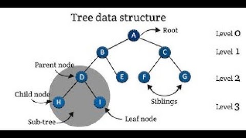 Rooted Trees - part 2