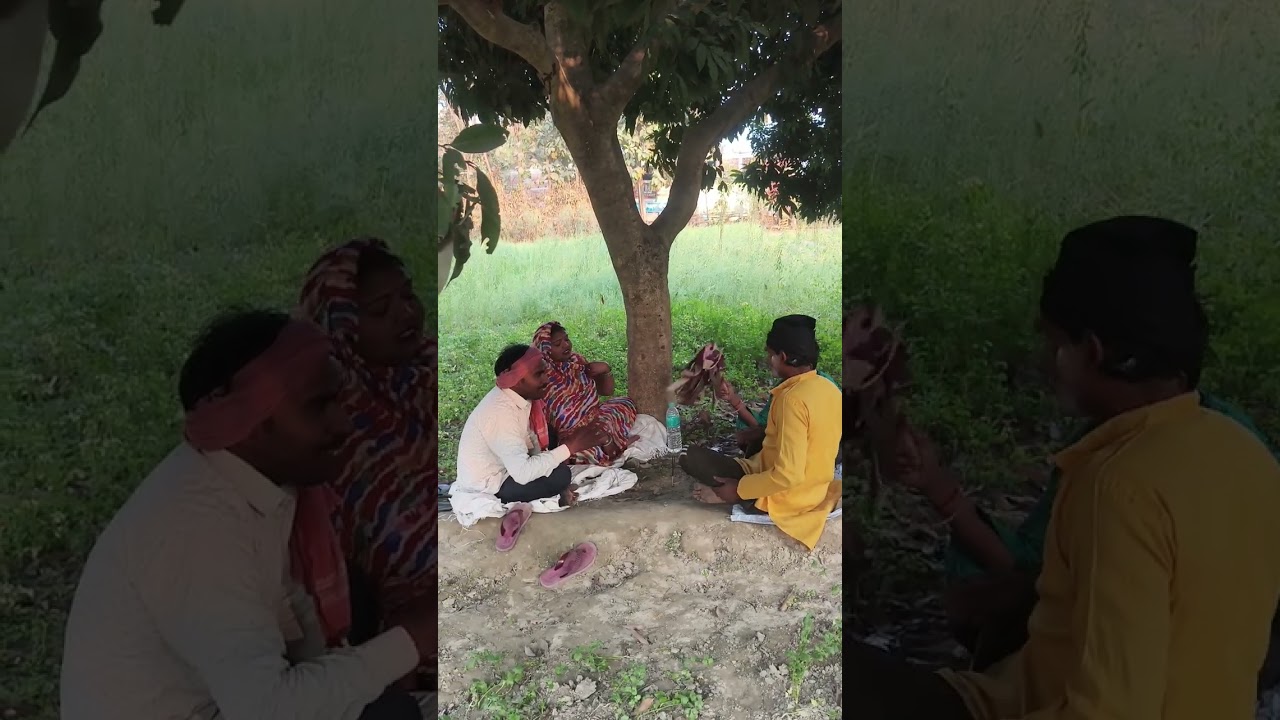 19 फ़रवरी 2026#comedy 