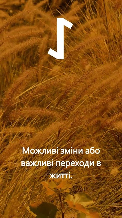 Руна дня Ейваз на 29.07.2024 #Рунадня #руни #магія #магіярун #рунологія ...