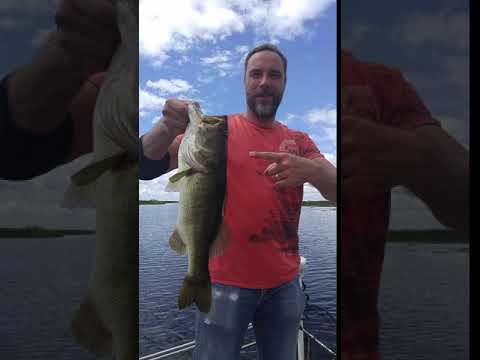 Haulin Bass Fishing Guide - Stick Marsh, Brevard County Florida - BIG BASS!