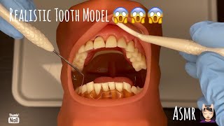 ASMR | Realistic Typodont Visit | Toothbrush, Flossing, Glove Sounds screenshot 4