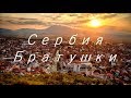 Первые впечатления о Сербии