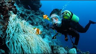 Diving in the South Pacific