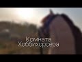 Комната Хоббихорсера/моя комната/Хоббихорсинг