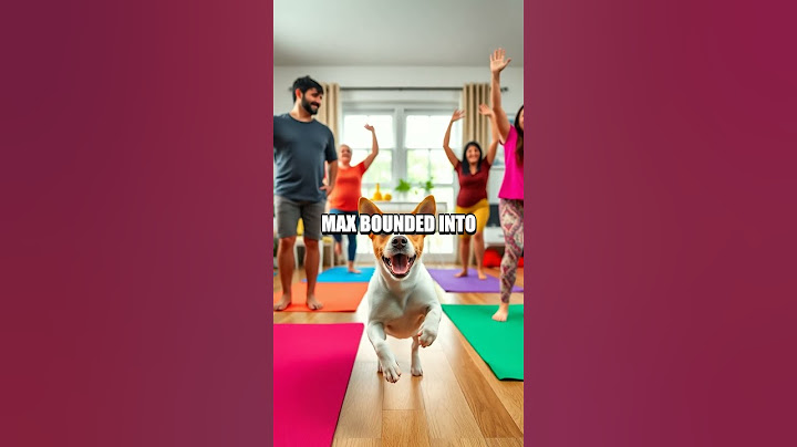 The Jolly Jack Russell's Unexpected Yoga Lesson