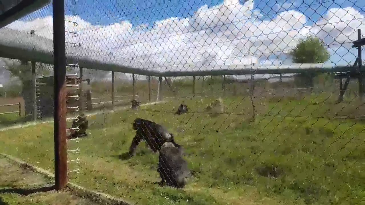 Bilinga snack time part 2