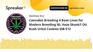 Cannabis Breeding 4 Base Lines for Modern Breeding NL Haze Skunk1 OG Kush Urkel Cookies S08 E12