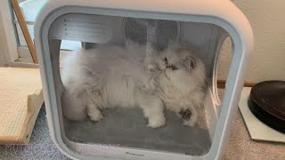 Homerunpet Drybo Plus Pet Dryer -- Unboxing & Use as a Pet Bed by Mythicbells 1,613 views 1 year ago 5 minutes, 45 seconds