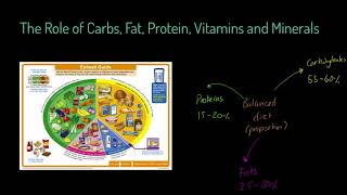 AQA GCSE PE - Role of Carbs, Fats, Protein, Vitamins and Minerals