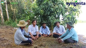 𝐒𝐎𝐅𝐈𝐓® 𝟑𝟎𝟎EC – KINH NGHIỆM NÔNG GIA CHUYÊN GIA TRỪ CỎ VÀ LÚA CỎ