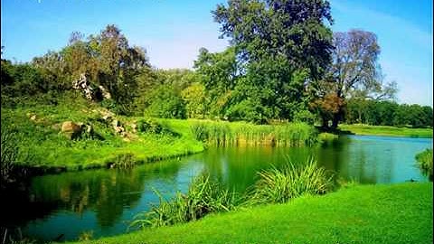 سورة الإخلاص مترجمه  تلاوة الشيخ سعد الغامدي  Surat Sincerity translated to English