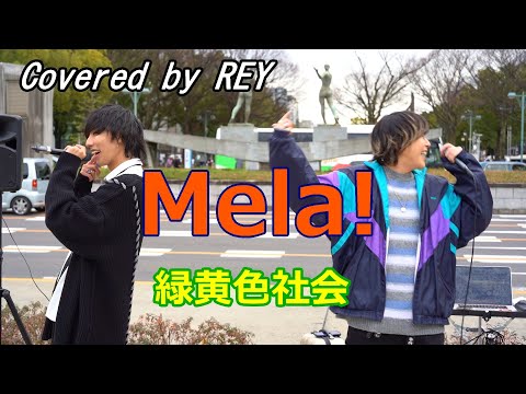 Mela! (緑黄色社会) Cover / REY 路上ライブ 名古屋 栄