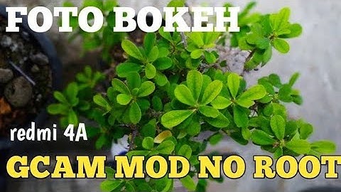 Google camera mod redmi 4a