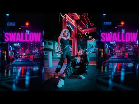 DJ Emre Can - Swallow 2022 (Club Mix)