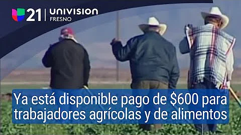 ¿Cuál es el pago de $600?