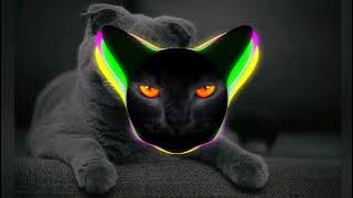 🤕Hamara Naam Bagad Billa Hai🔥💥 EDM TRANSE MIX 👑🙄 DJ STAR MAURANIPUR 👑 DJ VEERU DADA