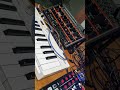 WOAHWOAHWOAH #behringergrind #rolandp6 #cre8audioboomchick #brosynthnetwork #synthrenegades
