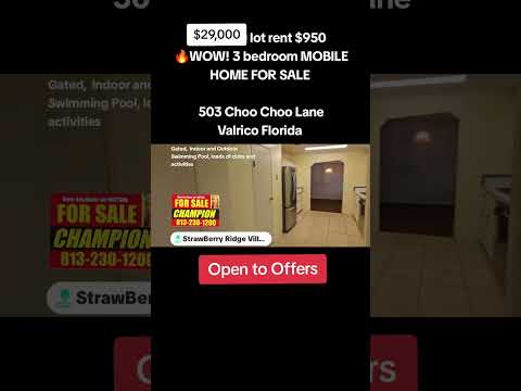 503 Choo Choo Lane, Valrico, FL home video tour
