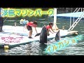 聖地巡礼　淡島マリンパーク　イルカショー の動画、YouTube動画。