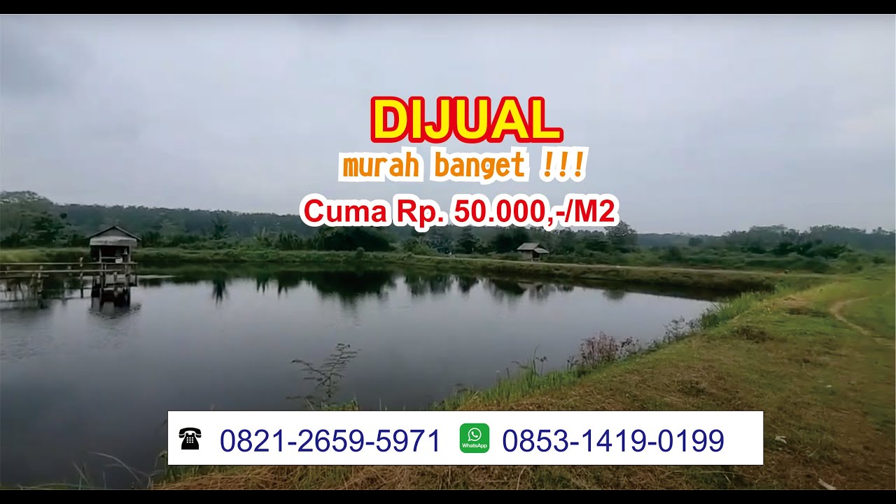 50 ribu/m2, dapat Tanah dan Kolam Ikan Murah Banget di Cibogo - Subang