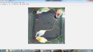 Producer Scrounger - Rat Tracking