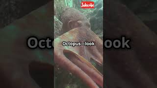 Creatures Found in the Deep Ocean,  #animals #jimcorbettwildlifeandnatureview