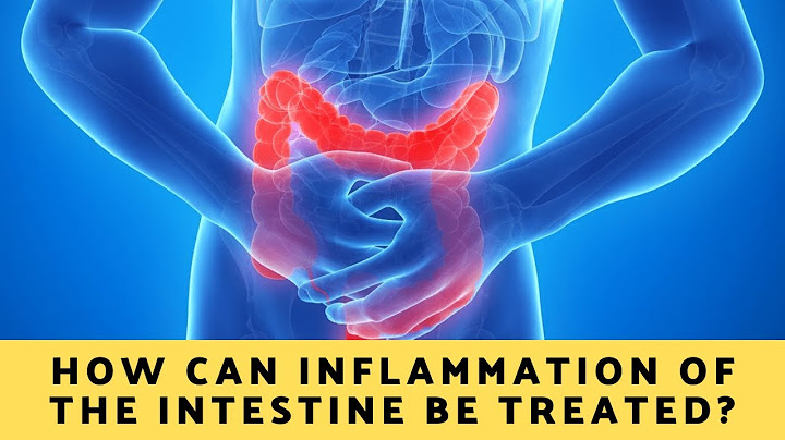 Inflammation of the stomach and small intestine medical term quizlet