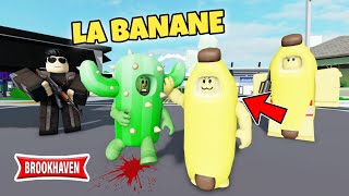 CACTUS ET LE RETOUR DE LA BANANE (À L'AIDE) ! BROOKHAVEN RP - ROBLOX