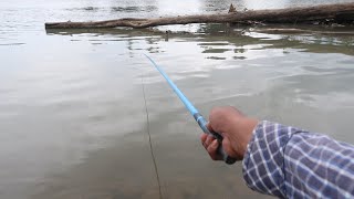 Fishing This Time, We Caught Lots of Snakehead Fish and Ancient Fish
