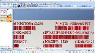 Kingston Solutions Product Label in BarTender - MFG P/N, LOT NO, QTY, D/C, BOX ID | Full Tutorial