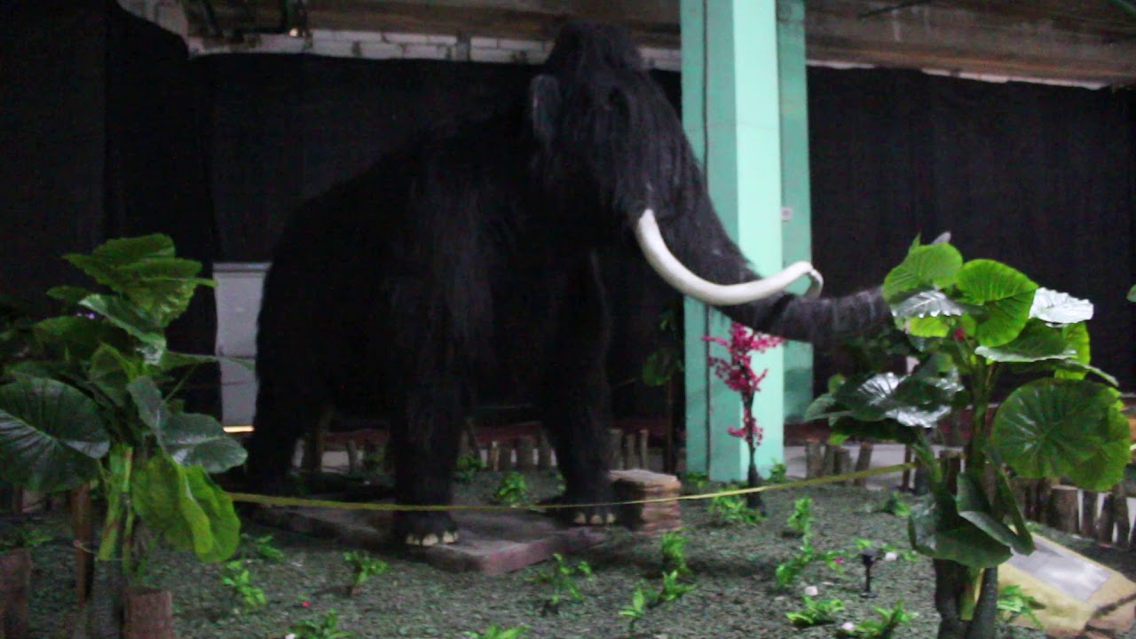 Открыта выставка динозавров в ТРК МЕГАМАГ