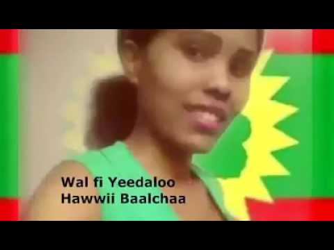Wallee Warraaqsa Weellistuu Hawwii Balchaa Jabaadhu Jajjabee Too
