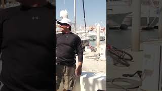 Sea Lion Grabs Big Fish