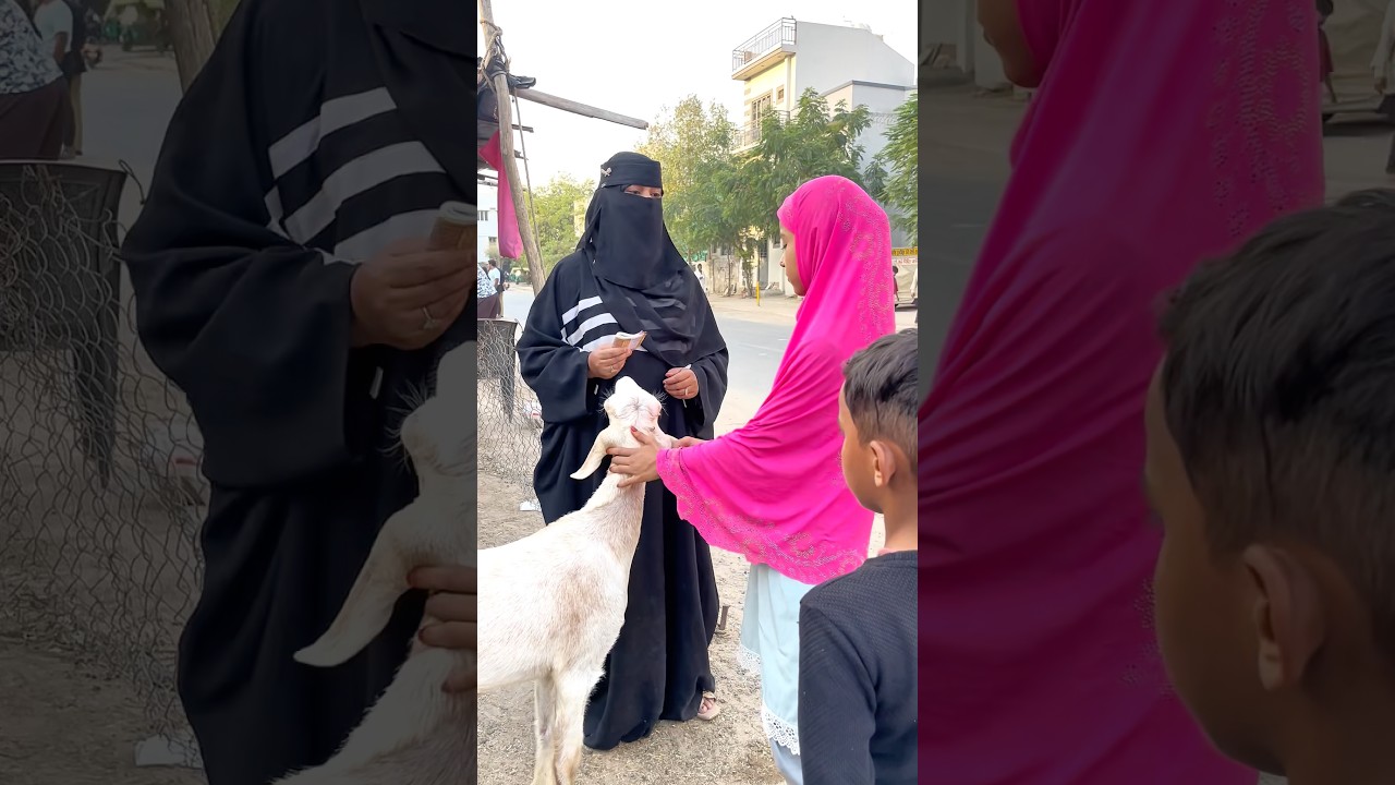 नुकसानी बकरा 😱 #emotional #islamicvideo #shortsfeed #shorts #bakraeid #viral