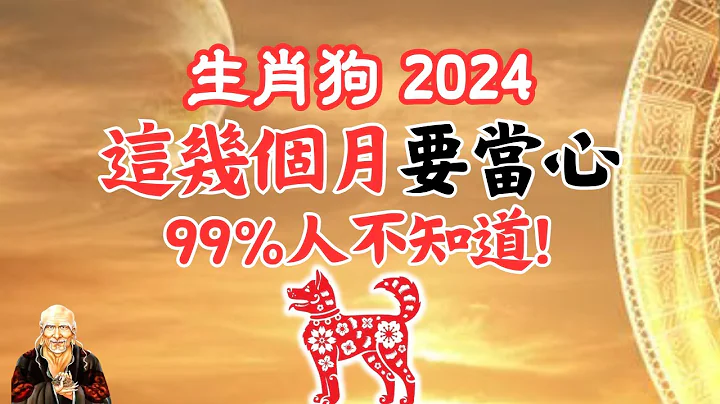 2024甲辰龍年，生肖狗，要出事的月份！要警惕！運勢好的月份是幾月？需要提前掌握！千萬要注意！2024年生肖狗運勢 | 2024年生肖狗運程 |生肖狗運勢|生肖狗運程|屬狗運勢|屬狗運程 - 天天要聞