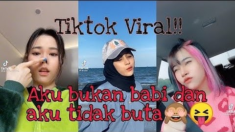 Tiktok Viral Terbaru!!! Aku bukan babi dan aku tidak buta🙈😂