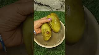 Aam Panna 🤤|| #shorts #tending #viral #drink #mango #aam #youtubeshorts #shortsfeed #recipe