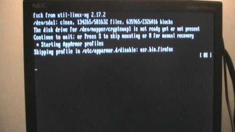 Ubuntu 10.10 on a 10 Year Old System